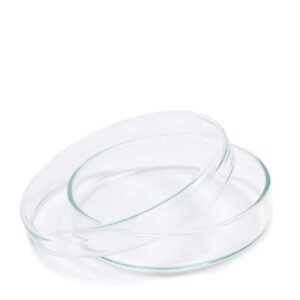 Petri Dish